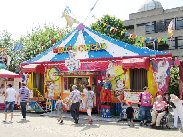 Abbildung: Muse Circus (Bruck-Plexnies)